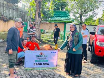 Wujudkan Qurban Mendamaikan LAZISNU Jombang Salurkan Ratusan Sapi dan Ribuan Kambing